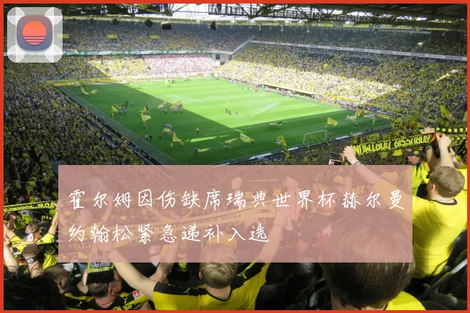 霍尔姆因伤缺席瑞典世界杯赫尔曼约翰松紧急递补入选