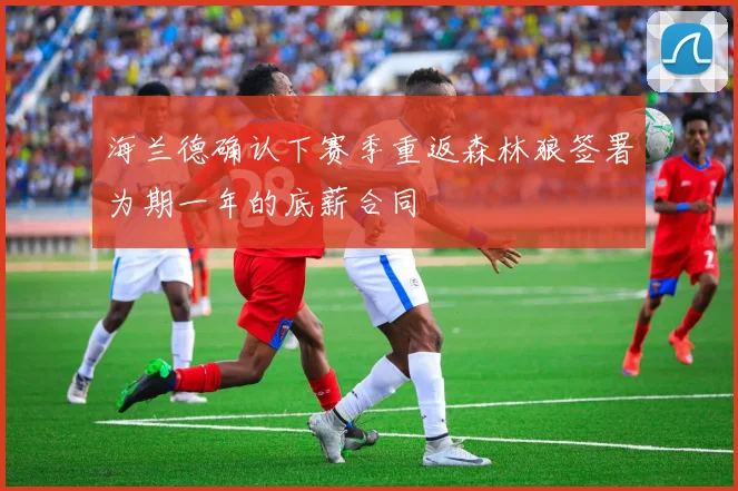 海兰德确认下赛季重返森林狼签署为期一年的底薪合同
