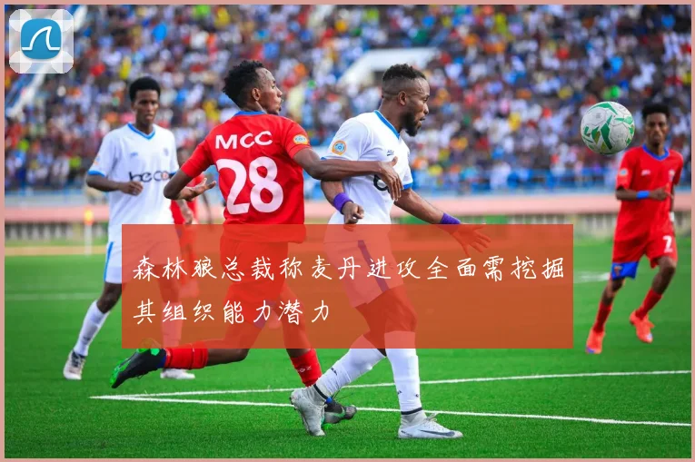 森林狼总裁称麦丹进攻全面需挖掘其组织能力潜力