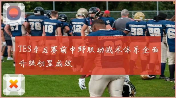 TES季后赛前中野联动战术体系全面升级初显成效